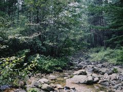 -秦岭风景区