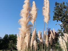 -汉长安城未央宫国家考古遗址公园