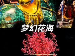 -索拉古贝(义乌北苑店)