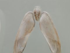 -青岛贝壳博物馆