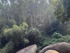 -火炉山森林公园