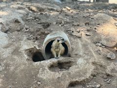 -秦皇岛野生动物园