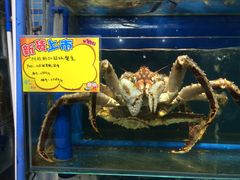 -蚝专家(北滘店)