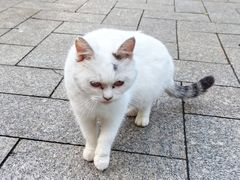 -俄罗斯风情街