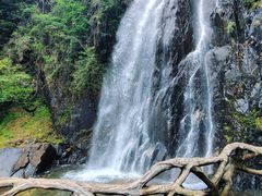 -姑婆山旅游区