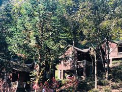 -夏霖九天银瀑风景区