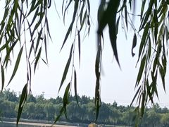 -象湖生态湿地公园