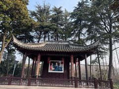 -梅园
