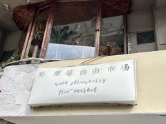 -野草莓自由市场