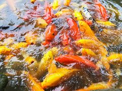 -成都川菜博物馆