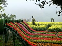 -广州市石门国家森林公园