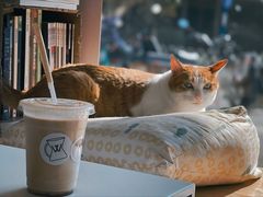 -W Coffee(船板巷店)