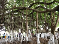 -胡里山炮台