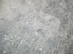 -西岭雪山大飞水景区