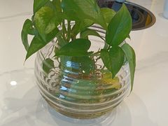 -新侗家食府(蟠桃宫店)