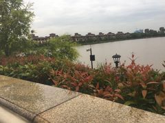 -美的鹭湖森林度假区