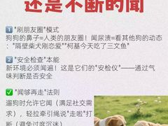 -瑞派天使宠物医院·神经外科·骨科·核磁CT(洛川中路店)