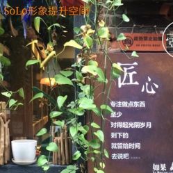 -solo楚东发型设计