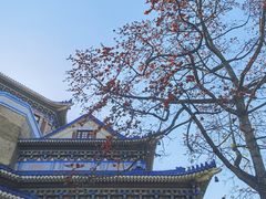 -广州中山纪念堂