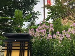 -百里峡七彩艺术小镇