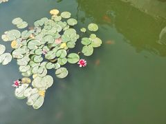 -大连植物园