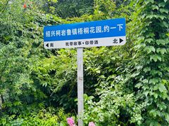 -鲁镇