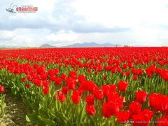 -金堂县云顶石城风景区
