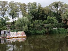 -桂湖森林公园