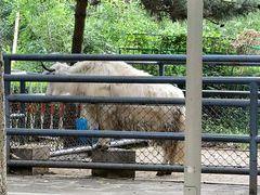 -长白岛森林公园