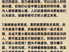 -观心实验室·心理咨询(上海旗舰店)