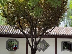 -团结湖公园