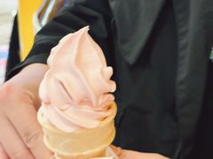 -麦当劳(新世纪环球中心店)