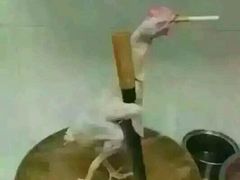 -隆门盛宴