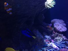 -成都浩海立方海洋公园