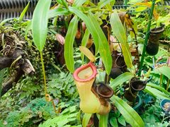 -国家植物园南园