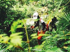 -西岭雪山大飞水景区