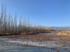 -野鸭湖国家湿地公园