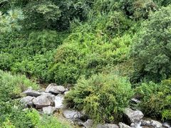 -苍山感通索道