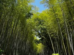 -同里国家湿地公园