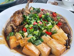 -青桃餐厅