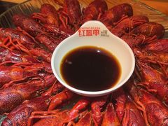 -红盔甲·小龙虾(长寿路店)