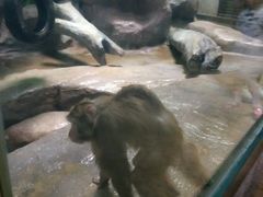 -福州罗源湾海洋世界旅游区