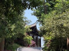 -潜山国家森林公园