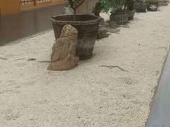 -玖合素手·轻养足浴SPA(云纺大悦城店)
