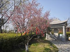 -游子山休闲旅游区