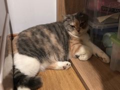 -藦茜花园宠物主题亲子互动体验馆(国顺东路店)