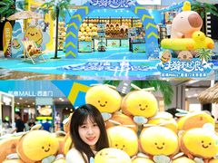 -凯德MALL(西直门店)