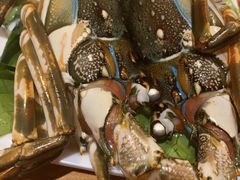 -鲜炉季港式打边炉(尚海湾店)