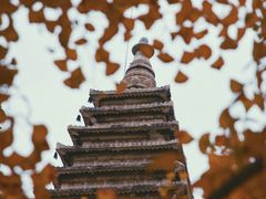 -北京石刻艺术博物馆(五塔寺)