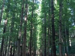 -南京金牛湖风景区